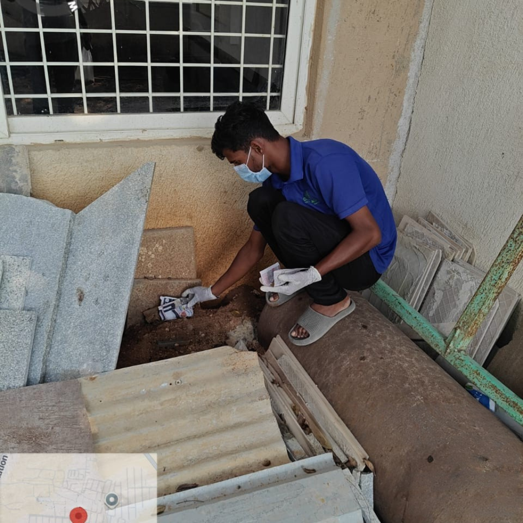 Gallery untitled design (11)