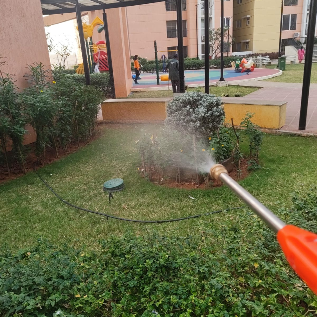 Gallery untitled design (9)