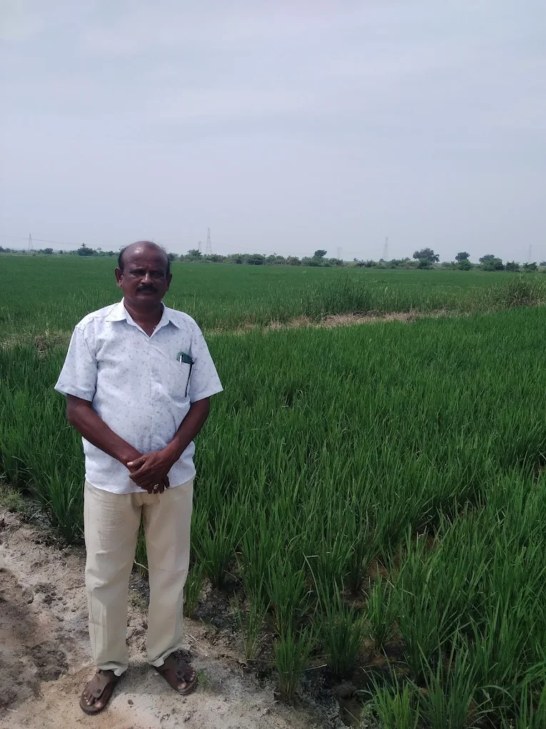 Gallery unnamed (10)